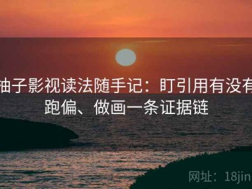 柚子影视读法随手记：盯引用有没有跑偏、做画一条证据链
