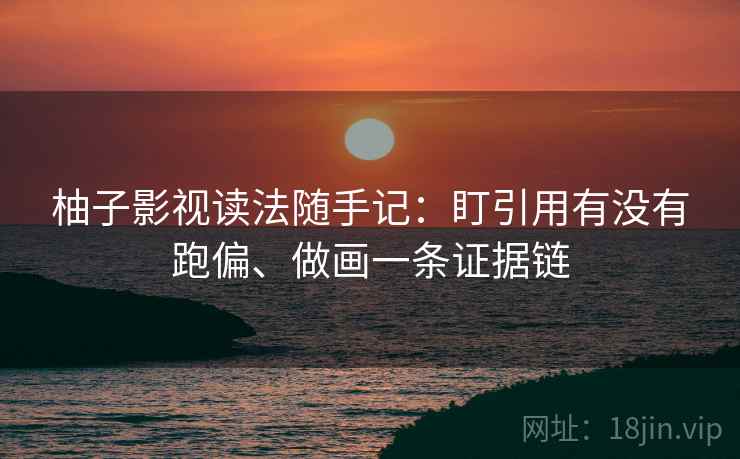 柚子影视读法随手记：盯引用有没有跑偏、做画一条证据链